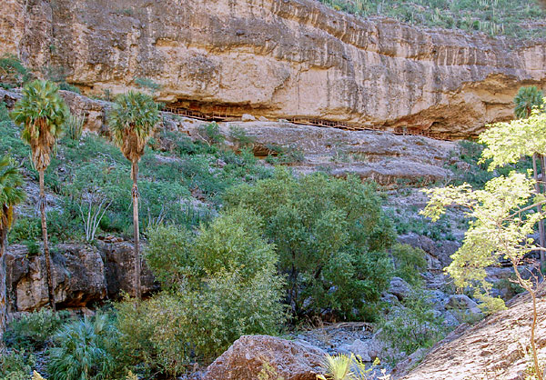 Canyon Rock Art of Baja Horseback Riding Pack Trip